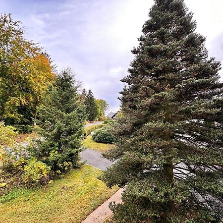 Pension Zum Loewen, Parkplatz, Fruehstueck, Wlan, Zentral Bad Steben Extérieur photo